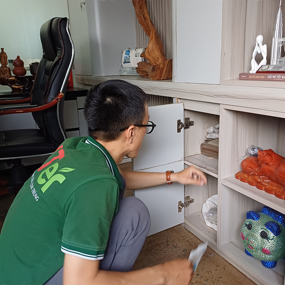 Diệt mối sinh học Thủ Đức TPHCM là gì?