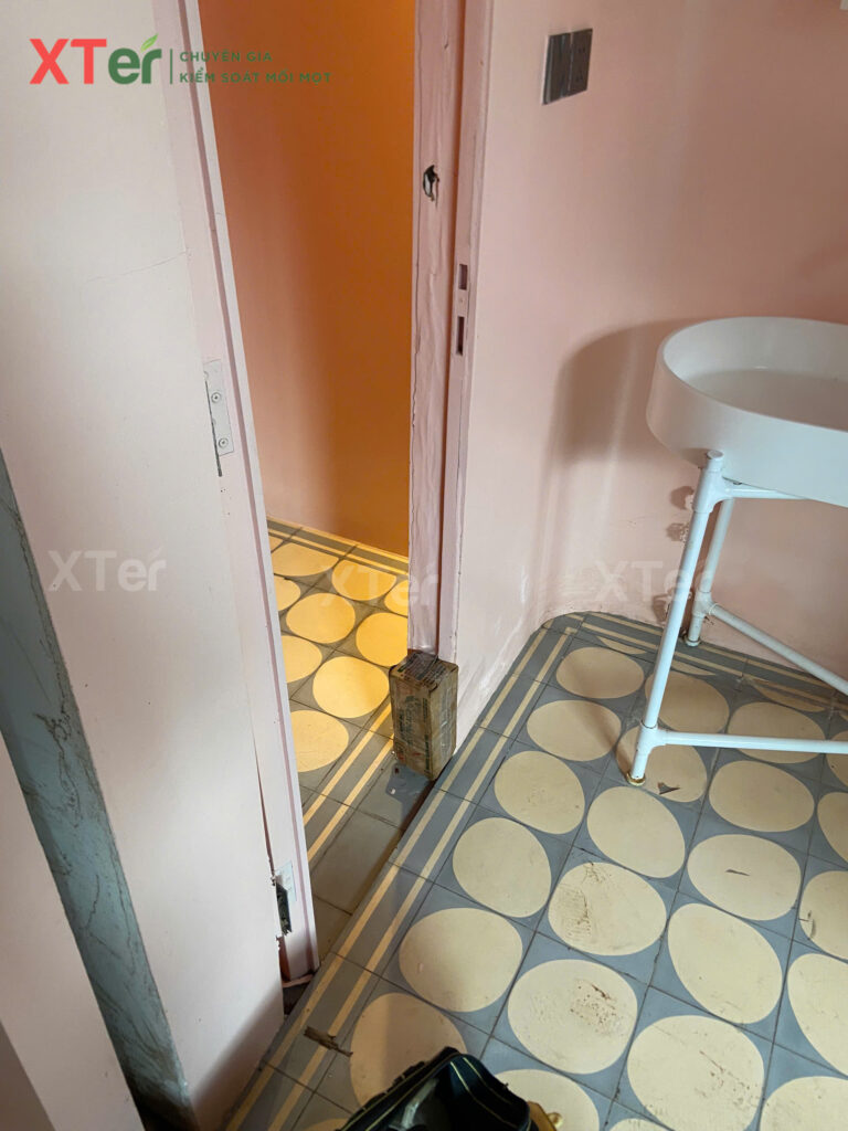 XTER Triển Khai Diệt Mối Tận Gốc Tại Nhà Chú Hà - Quận 7, TP.HCM z7077768328105 37c70425c9f3d6495b4b626030bebd43