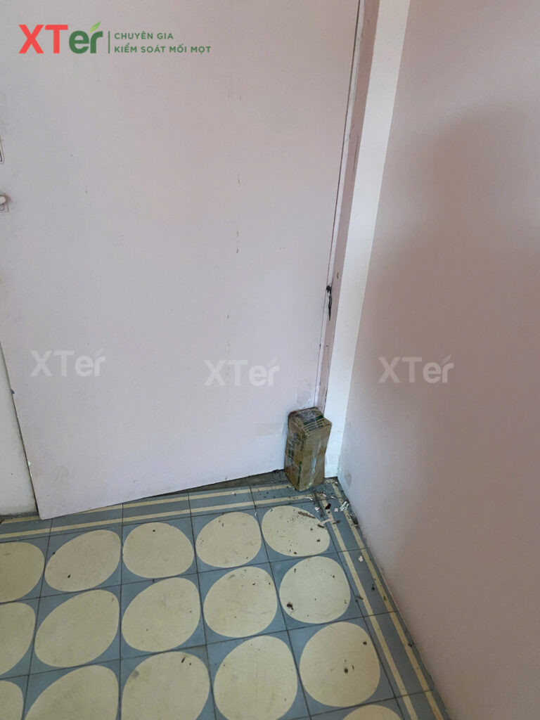 XTER Triển Khai Diệt Mối Tận Gốc Tại Nhà Chú Hà - Quận 7, TP.HCM z7077768341787 b7d33d5222d288b099bc3555fb91366c