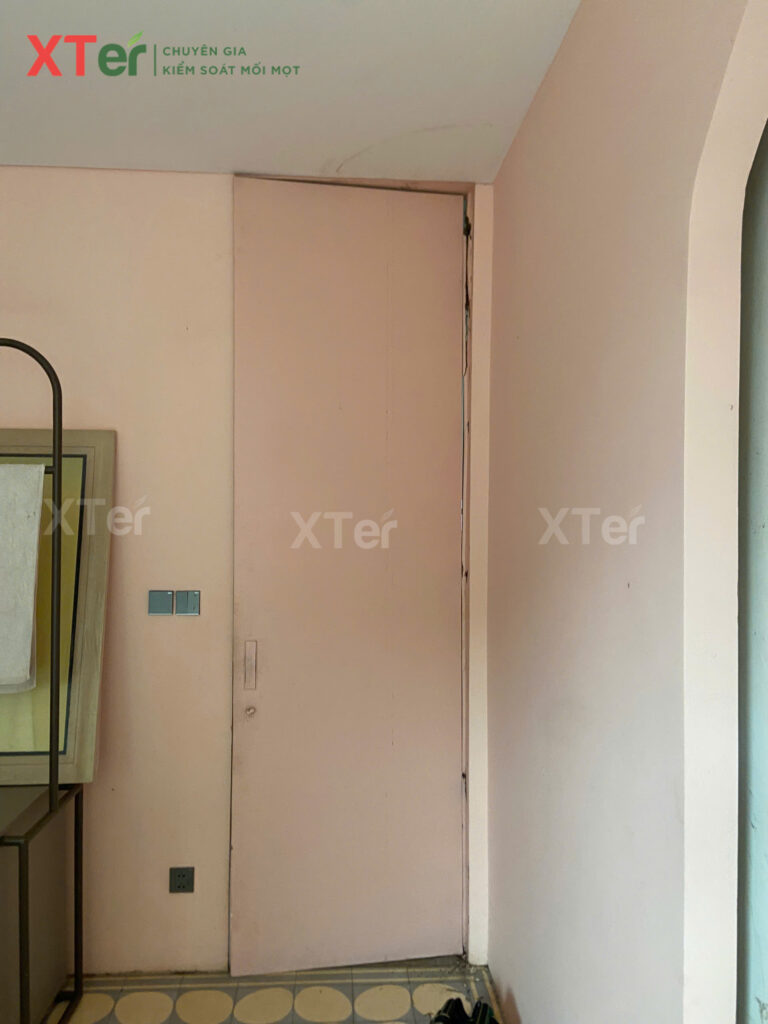 XTER Triển Khai Diệt Mối Tận Gốc Tại Nhà Chú Hà - Quận 7, TP.HCM z7077768360268 023f2ff6b08377d960ab9eed86f0121a