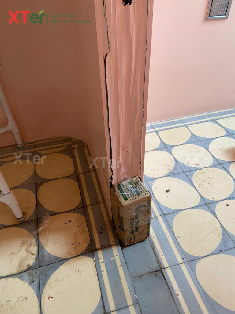 XTER Triển Khai Diệt Mối Tận Gốc Tại Nhà Chú Hà - Quận 7, TP.HCM z7077768364624 b00ff0ef9aeca014de35a39904494d31