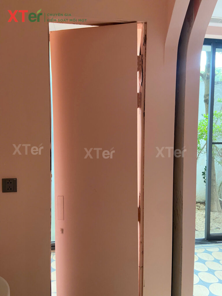 XTER Triển Khai Diệt Mối Tận Gốc Tại Nhà Chú Hà - Quận 7, TP.HCM z7077768382522 61d14601d5ed3eb1cb0f64741bb42442