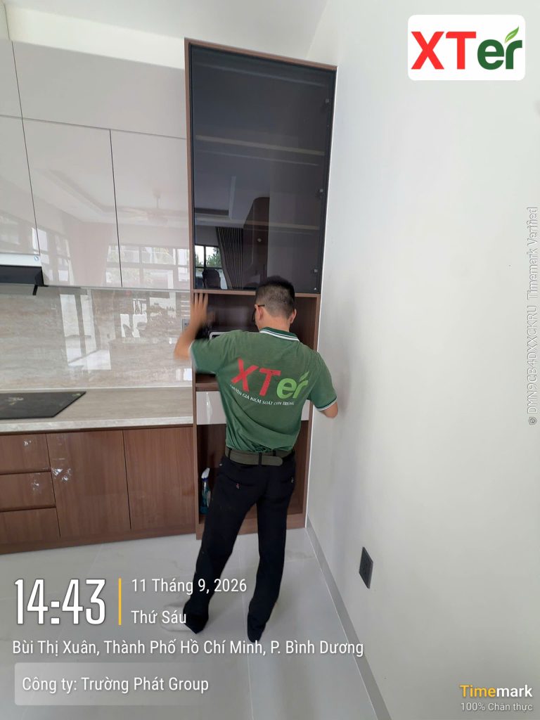 Dịch vụ diệt mối tận gốc tại TPHCM của XTER