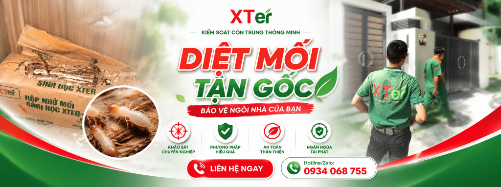 Diệt Mối Tận Gốc - Cách Xử Lý Hiệu Quả Với Phương Pháp Sinh Học