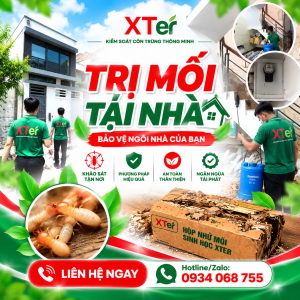 Trị Mối Tại Nhà