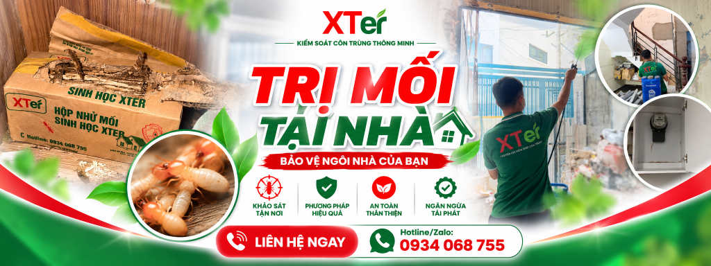 Tri Moi Tai Nha 7 Cach Xu Ly Hieu Qua Han Che Tai Phat