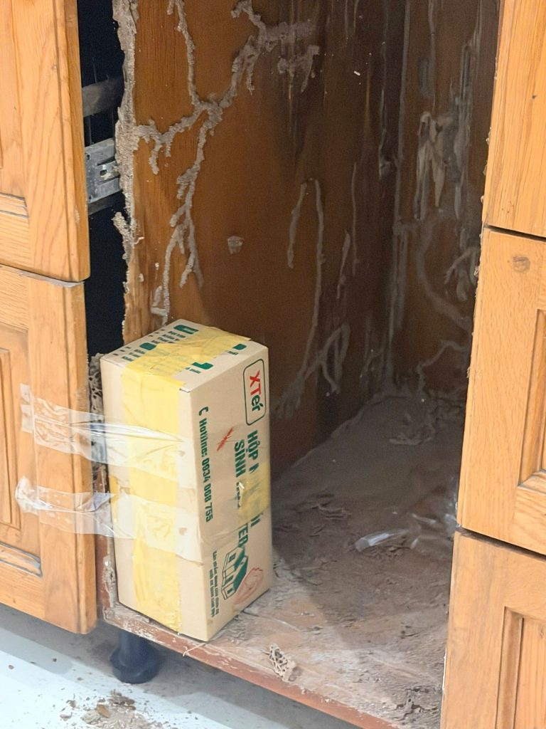 Diệt Mối Tại Nhà Gò Vấp – XTER Xử Lý Mối Phá Hoại Tủ Bếp Tại Đường Dương Quảng Hàm Hộp nhử được đặt tại khu vực phù hợp với phương án xử lý đã lựa chọn.