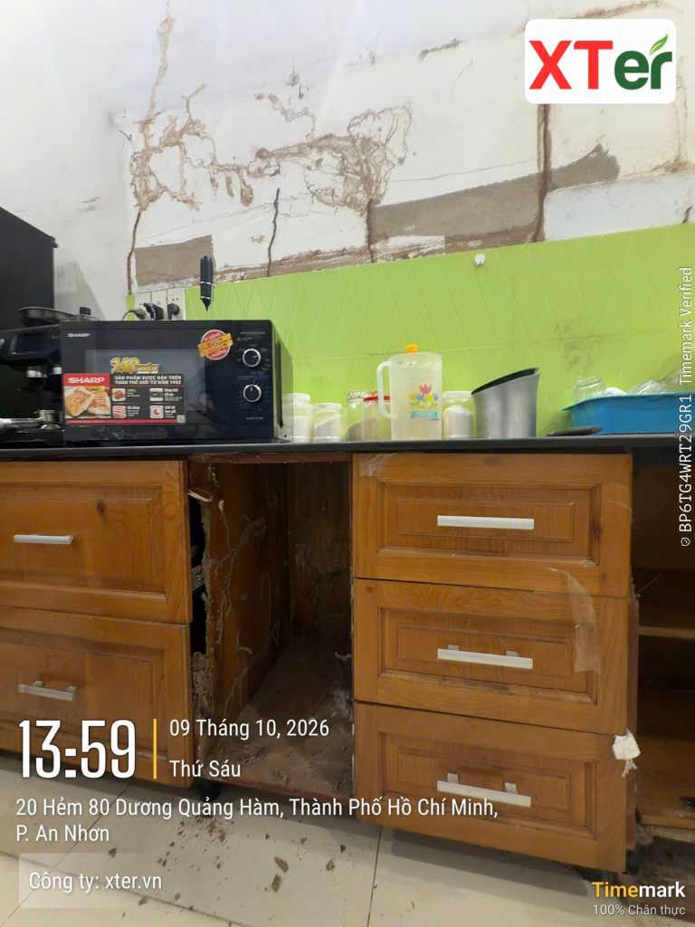 Diệt Mối Tại Nhà Gò Vấp – XTER Xử Lý Mối Phá Hoại Tủ Bếp Tại Đường Dương Quảng Hàm Khu vực dưới bồn rửa và các khoang tủ được kiểm tra nhằm xác định những vị trí có nguy cơ.