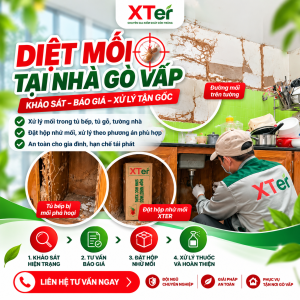 Diệt Mối Tại Nhà Gò Vấp