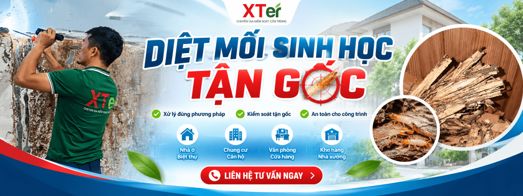 Diệt Mối Sinh Học Tận Gốc – Giải Pháp Xử Lý Mối Hiệu Quả Cùng XTER