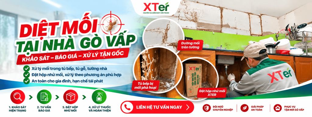 Diệt Mối Tại Nhà Gò Vấp – XTER Xử Lý Mối Phá Hoại Tủ Bếp Tại Đường Dương Quảng Hàm Diệt Mối Tại Nhà Gò Vấp – XTER Xử Lý Mối Phá Hoại Tủ Bếp Tại Đường Dương Quảng Hàm