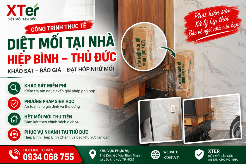Diệt Mối Tại Nhà Hiệp Bình Thủ Đức – XTER Khảo Sát Báo Giá Và Đặt Hộp Nhử Tại Nhà Anh Bình Diệt Mối Tại Nhà Hiệp Bình Thủ Đức – XTER Khảo Sát Báo Giá Và Đặt Hộp Nhử Tại Nhà Anh Bình